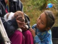 Добро пожаловать в Энурмино! (2010) TVRip