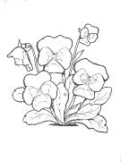 Альбом для раскрашивания