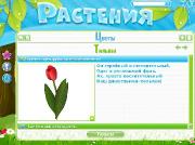 Хочу Все Знать. Растения. Веселые истории для друзей