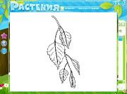 Хочу Все Знать. Растения. Веселые истории для друзей