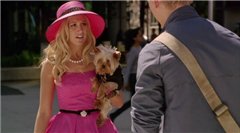 Невероятные приключения Шарпей / Sharpay's Fabulous Adventure (2011/HDRip)