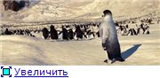 Делай ноги / Happy Feet /2006/ BDRip Делай ноги / Happy Feet /2006/ BDRip