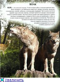 Животный мир Украины Животный мир Украины