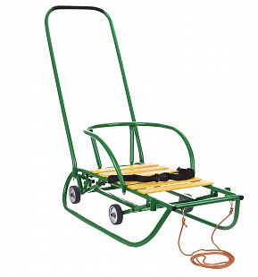 Преимущества санимобиля перед санками