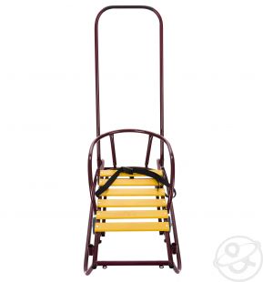 Преимущества санимобиля перед санками