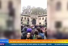 Итальянские силовики щитами избили митингующих детей в Риме
