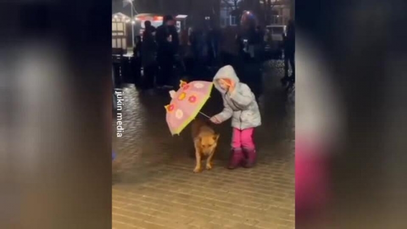Пример человечности: спасающая от дождя собаку девочка умилила Сеть