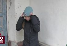 Старушку обвинили в избиении девочки из-за «ревности» к дворовым котам