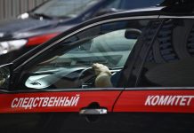 Тело младенца нашли возле аэропорта в Пскове