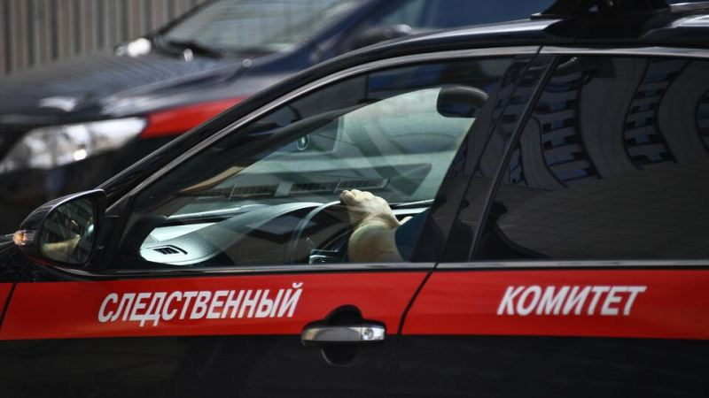 Тело младенца нашли возле аэропорта в Пскове