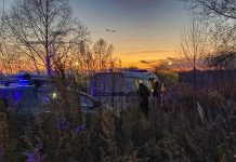 Тело ребенка обнаружили на дереве в Комсомольске-на-Амуре