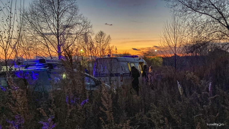 Тело ребенка обнаружили на дереве в Комсомольске-на-Амуре