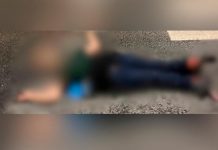 Бросившая детей с дальнобойщиком мать погибла в ДТП