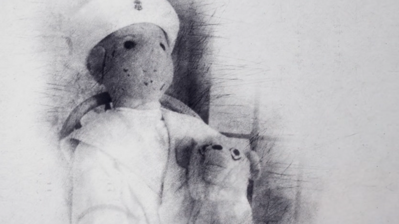 Настоящий Чаки и куклы в гробах: зачем покупают жуткие игрушки