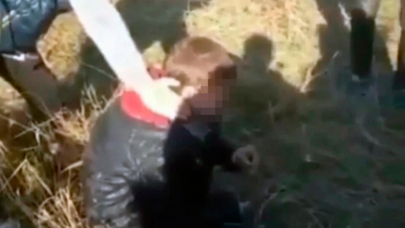 Подростки жестоко избили школьника в Хабаровском крае