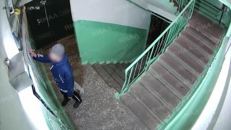 Соседи оценили творчество исписавшего стены стихами Маяковского