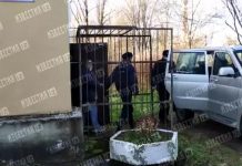 Суд не арестовал жителя Ленобласти, подозреваемого в растлении дочерей