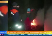 Заблудившихся в лесу детей нашли на Сахалине благодаря их смекалке