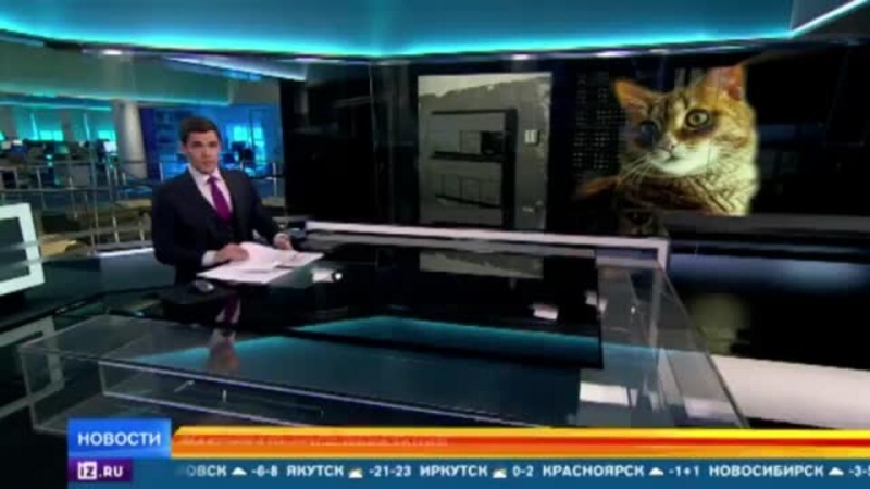 Запашный и Загитова поддержали акцию против живодеров из Северодвинска