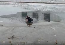 Житель Электростали, спасший ребенка из-подо льда: Торчала одна голова