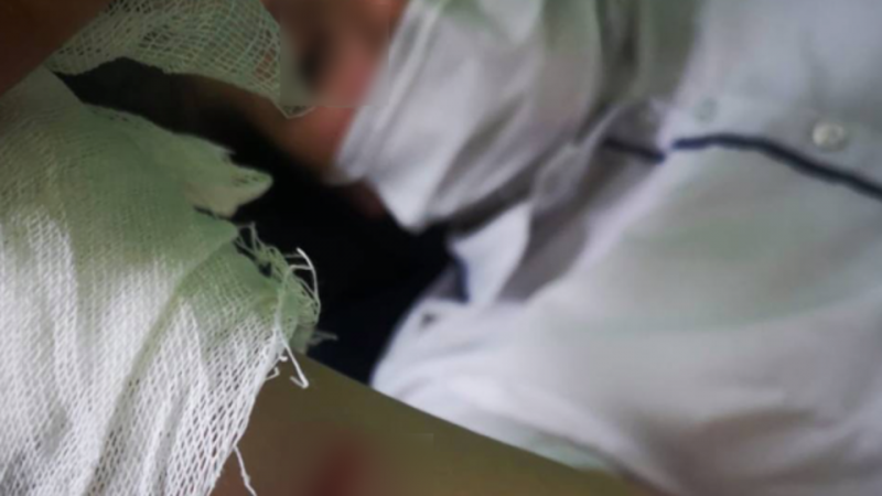 Жители Краснодара чудом отбили ребенка от стаи бродячих собак