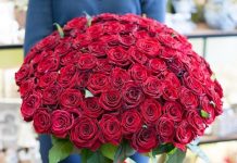 Розы с доставкой на дом