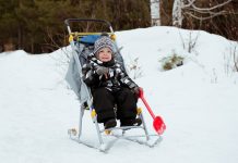 Санки коляска в чем плюсы