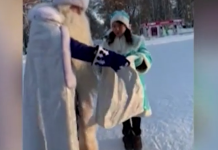 Дед Мороз исполнил мечту оставившей письмо в лесу школьницы из Перми