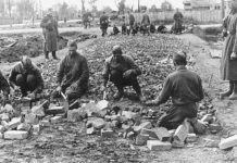 Детские останки нашли у бывшего концлагеря фашистов в Болхове