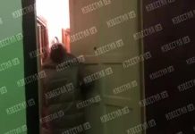 Дочка успела сбежать: подробности расправы над семьей в Москве