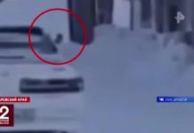 Глава СК поручил доложить об инциденте с малышом на морозе в Амурске