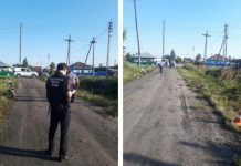 Мужчина раздавил двухлетнего мальчика газонокосилкой под Новосибирском