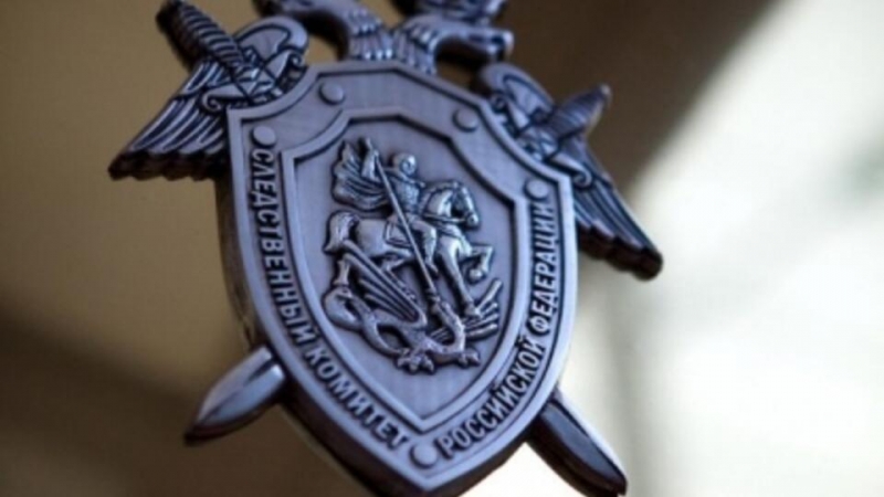 Начата проверка после инцидента с голой девочкой в Тюмени