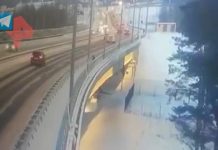 Омбудсмен объяснила, почему поиски мальчика в Дубне начались не сразу