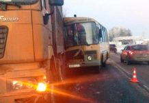 Школьный автобус и мусоровоз столкнулись в Ленобласти