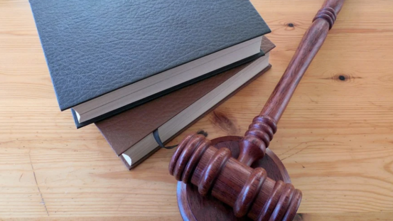 СК обжалует приговор петербургского суда по делу о насилии в детдоме