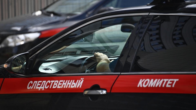 СК выясняет, почему девочка на "ватрушке" врезалась в поезд в Королеве