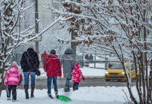 Скелет системы создан: в ГД оценили слова Путина по поддержке семей