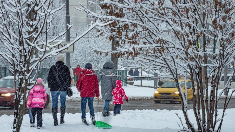 Скелет системы создан: в ГД оценили слова Путина по поддержке семей