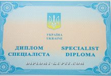 Где можно купить диплом бакалавра