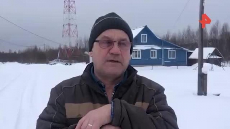 Бежавших к лесу людей видели перед пропажей малышки под Новгородом