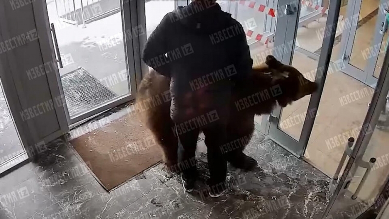 Блогерше Лере Изумруд может грозить ответственность за шоу с медведем