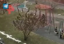 Дети в Алма-Ате играют на улице под звуки выстрелов