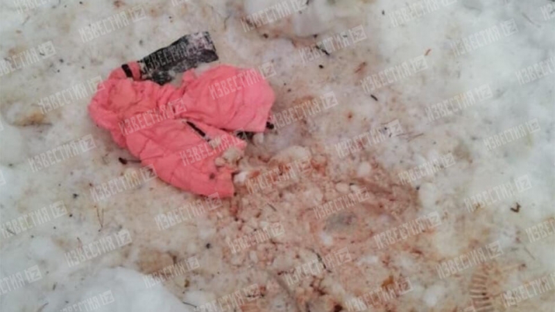 Детскую куртку в крови нашли в лесу под Петербургом