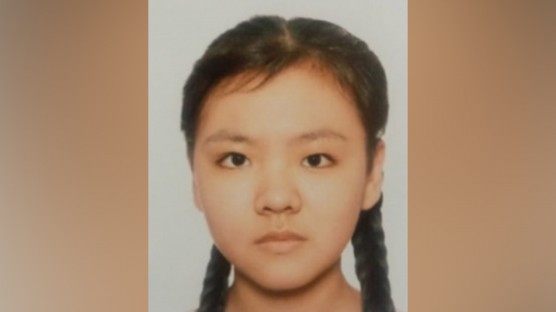 Дневник с тревожной записью нашли после пропажи девочки в Поволжье