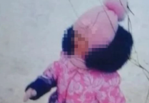 Друг отца убитой в Костроме девочки: «Виноват весь дом, весь двор»