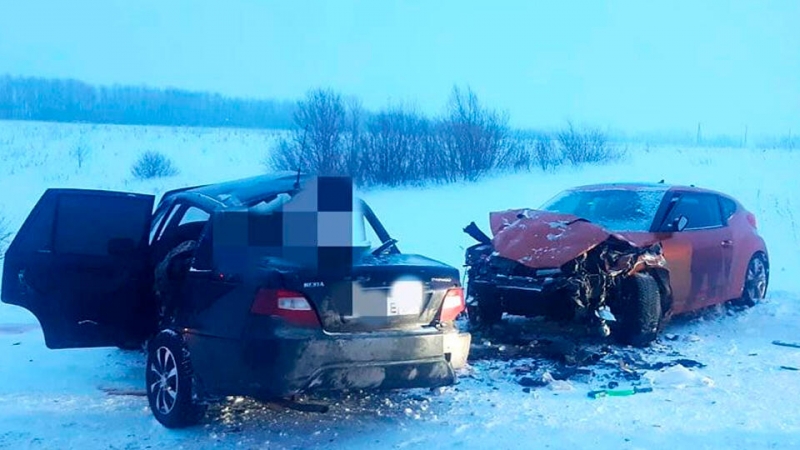 Два человека погибли и семь пострадали в массовом ДТП в Башкортостане
