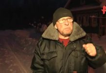 Грибник рассказал, как нашел останки пропавшей в 2013 году девочки