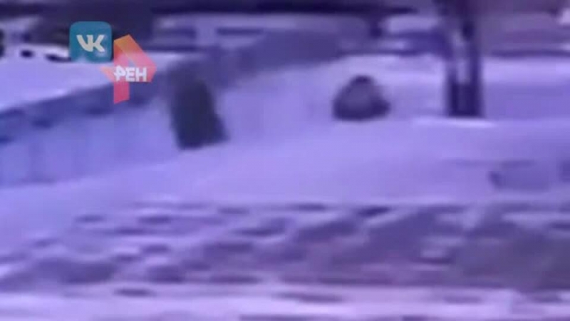 Кадры из квартиры в Костроме, где убили пятилетнюю девочку