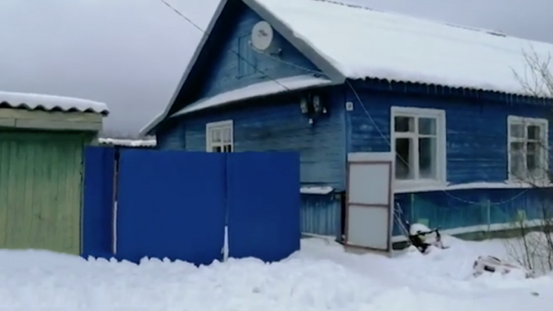 Мать пропавшей под Новгородом девочки обвинила сожителя в педофилии